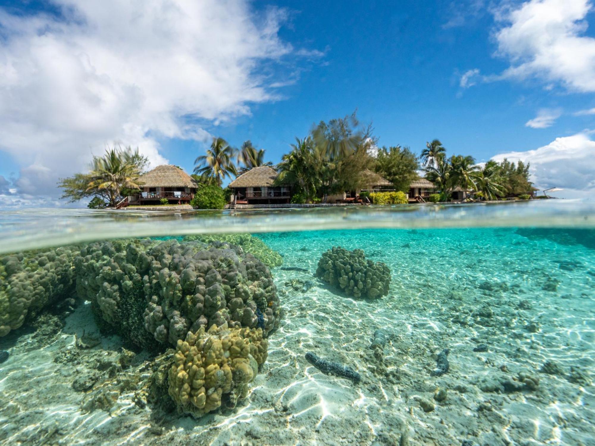 Hotel Eden Private Island Tahaa Patio  Exterior foto